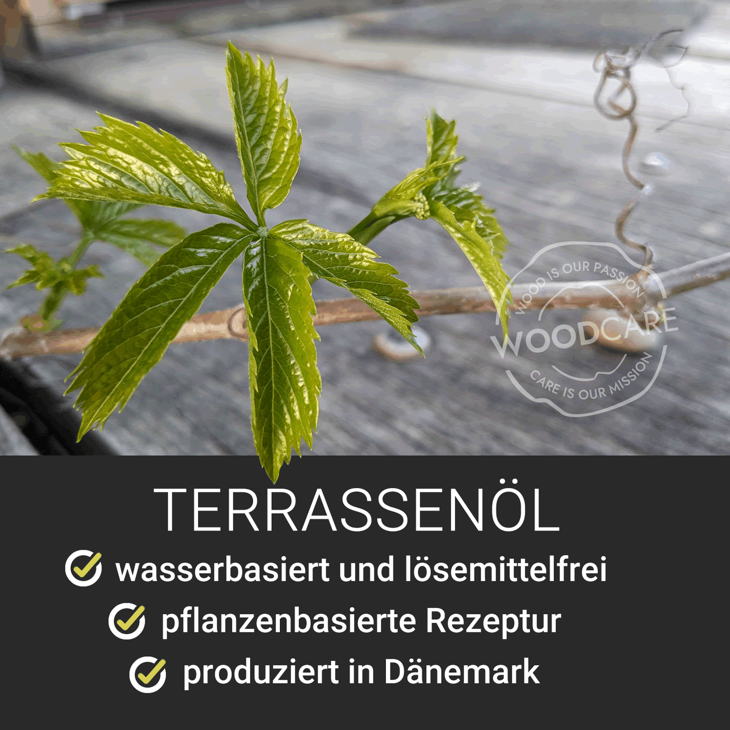 WOCA Terrassenöl  Frühjahrsangebot